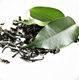 Green Tea Extract